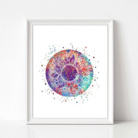 Human Eye Anatomy - DrunkArtist