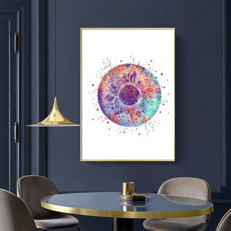 Human Eye Anatomy - DrunkArtist