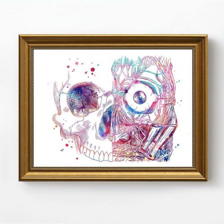 Eye Anatomy - DrunkArtist