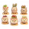 Cute Owl Ceramic Flowerpots - DrunkArtist